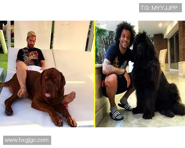 足球明星与爱犬亲密互动瞬间展现温暖与友爱的完美结合 足球明星与爱犬亲密互动瞬间展现温暖与友爱的完美结合