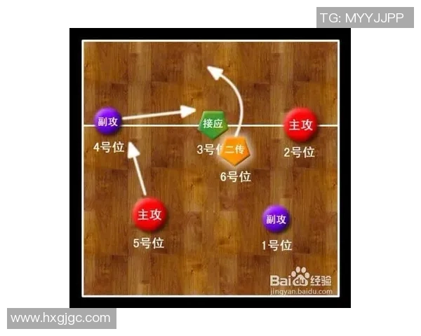 成都排球队与广州排球队对决后的战术分析与节奏探讨