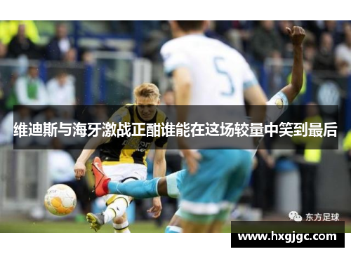 维迪斯与海牙激战正酣谁能在这场较量中笑到最后